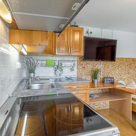 Apartment River View Mlinar Private - Happy Metlika