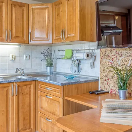 Apartment River View Mlinar Private - Happy Metlika