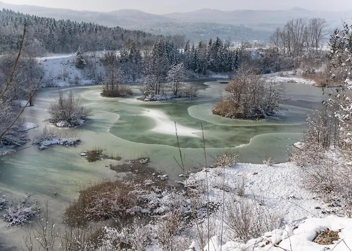 River View Mlinar Private - Happy